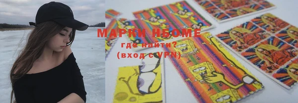 индика Балабаново