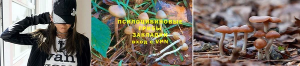 гидра Баксан