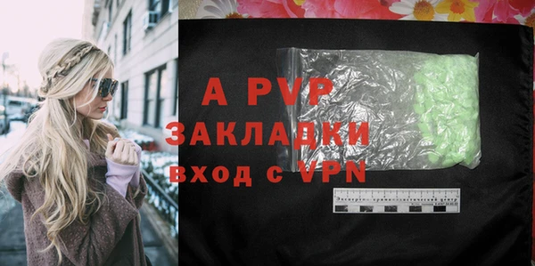 индика Балабаново