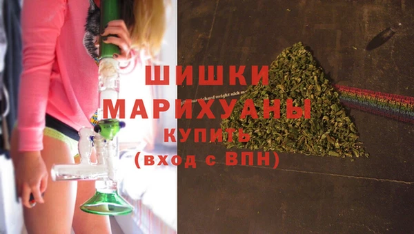индика Балабаново