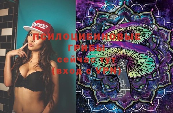 индика Балабаново