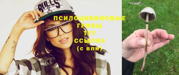 гидра Баксан